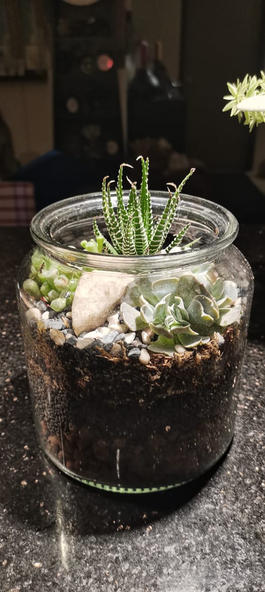 Bengkel Terrarium